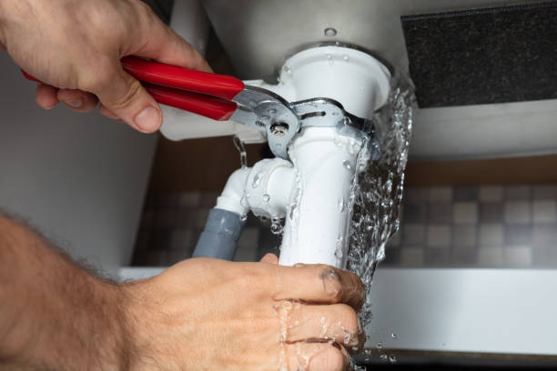 Best Basement water damage restoration  in Goulds, FL