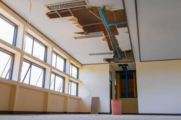 Best Professional water damage repair  in Goulds, FL