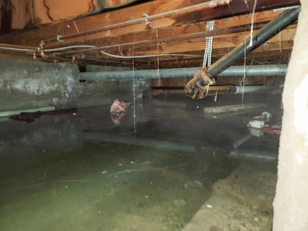 Best 24-hour water damage restoration  in Goulds, FL