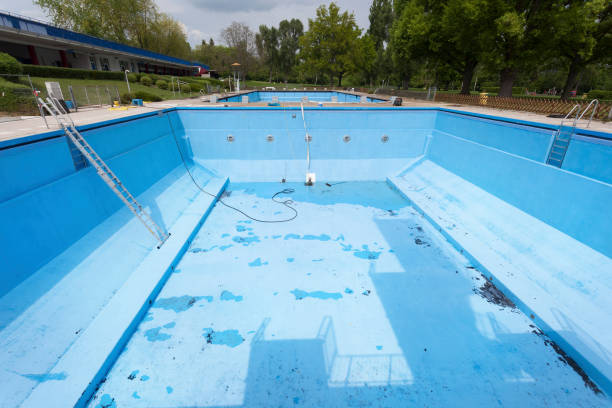 Best Flood restoration services  in Goulds, FL
