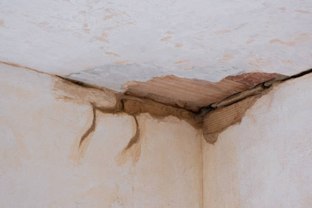 Best Carpet water damage restoration  in Goulds, FL