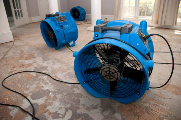 Best Professional water damage repair  in Goulds, FL