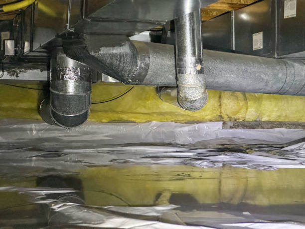 Best Water damage cleanup near me  in Goulds, FL