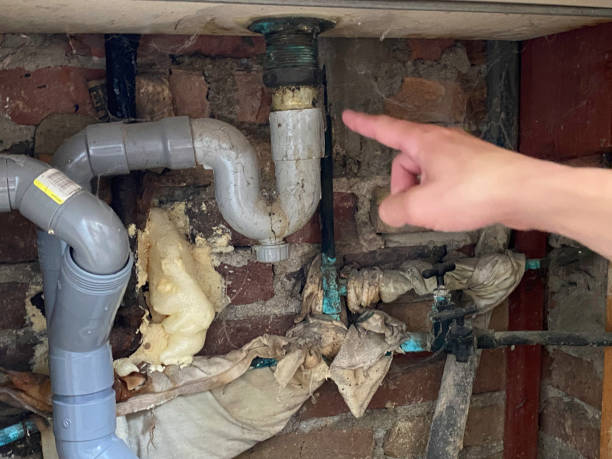 Best Professional water damage repair  in Goulds, FL